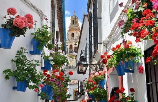 El Patio De Cruz Conde Apartman Córdoba Kültér fotó